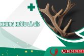 Nhung hươu là gì? Tác dụng của nhung hươu